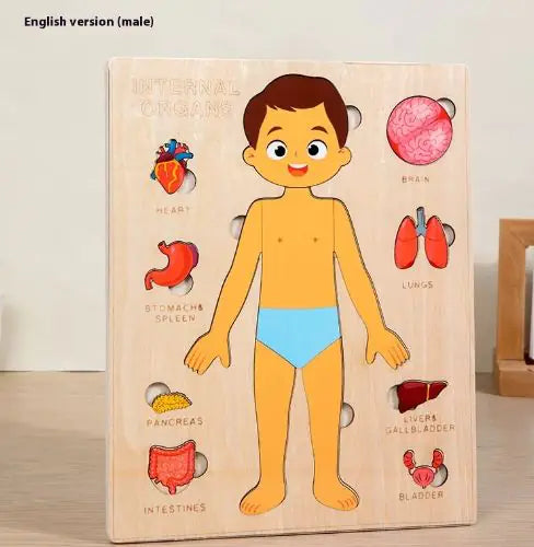 Interactive Human Anatomy Puzzle – Educational Toy for Kids