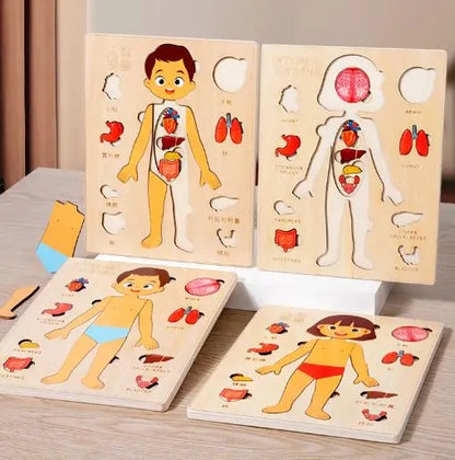 Interactive Human Anatomy Puzzle – Educational Toy for Kids