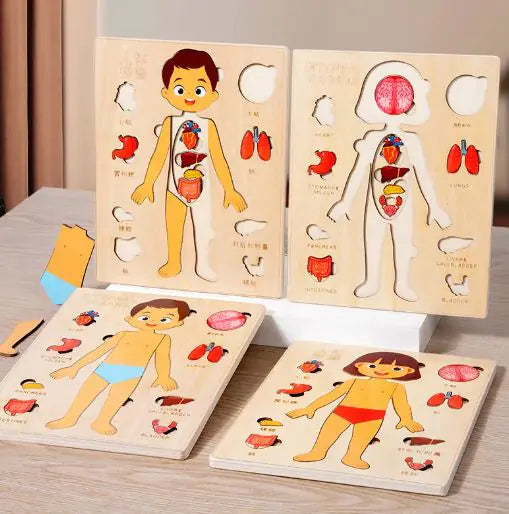 Interactive Human Anatomy Puzzle – Educational Toy for Kids